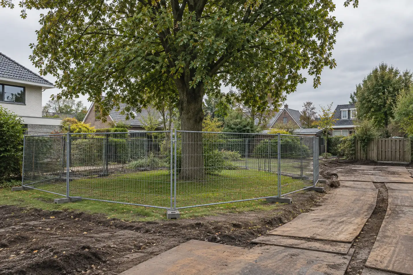 AI-illustratie: Boom met afgezette wortelzone tijdens tuinwerkzaamheden en rijplaten buiten de afzetting